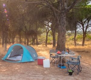 Camping tent set up under trees in the Algarve, Portugal